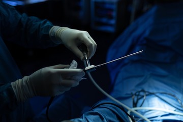 Surgeon examining a horse in operation theatre