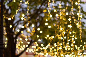 Blur - bokeh - Decorative outdoor string lights hanging on tree in the garden at night time -...