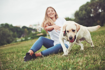 Attractive young woman with labrador outdoors. Woman on a green grass with dog labrador retriever
