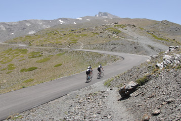 Bajada de ciclistas por la montaña