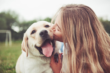 Frame with a beautiful girl with a beautiful dog in a park on green grass. - obrazy, fototapety, plakaty