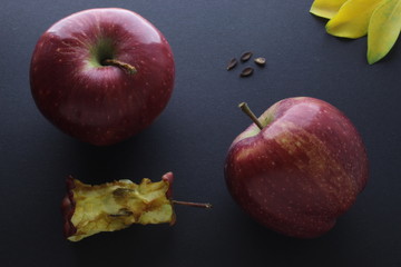 Red Apple and Apple Stump Stub Core Composition On Black Craft Paper Background