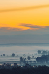 Fototapeta premium Mystic view on forest under haze at early morning. Mist among tree silhouettes under predawn sky. Gold light reflection in water. Calm morning atmospheric minimalistic landscape of majestic nature.