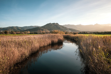 Calm river passing between rushes at Lozari in Corsica