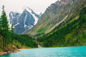 Naklejka na ściany i meble Fast mountain creek from glacier flows into azure mountain lake in valley. Amazing mountains with conifer forest. Larch trees on mountainside. Vivid green landscape of majestic nature of highlands.