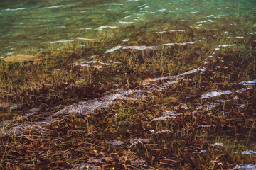 Plants on bottom of mountain lake with clean water. Ripples and reflections on smooth water surface in sunny day. Minimalist background with underwater rich vegetation. Flora of highlands. Copy space.