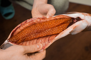 Cooking Salmon and red caviar for food. Pink Salmon. Humpback salmon.