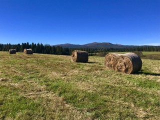 Na szlaku w Bieszczadach.