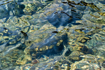 Rocky Coast. Adriatic Sea