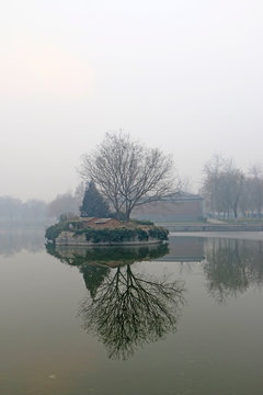 eyot in the haze