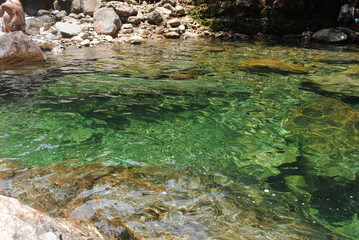 stream in the forest