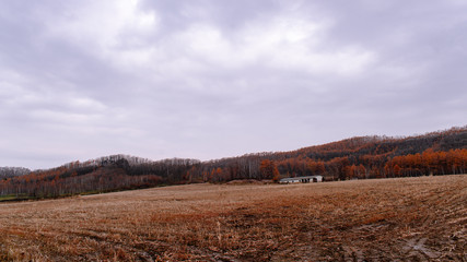 Harvested farmland at mountain foot in Autumn