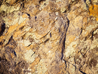 rock texture