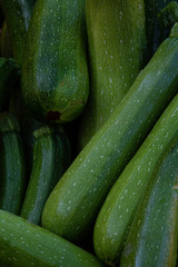 Zucchini Closeup
