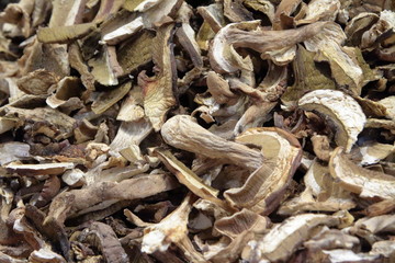 FUNGHI PORCINI ESSICCATI 
