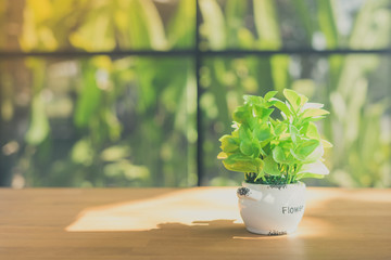 Artificial plants or plastic tree on table for decoration and we