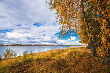 Autumn landscape on the river. Western Siberia, Novosibirsk region, Russia