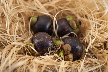 Four mangosteens on straw isolated on white background