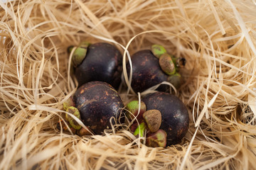Four mangosteens on straw isolated on white background