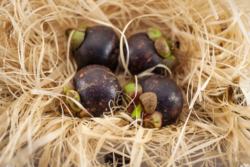 Four mangosteens on straw isolated on white background
