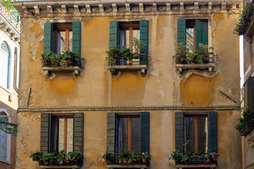 The window is decorated with pots of flowers.