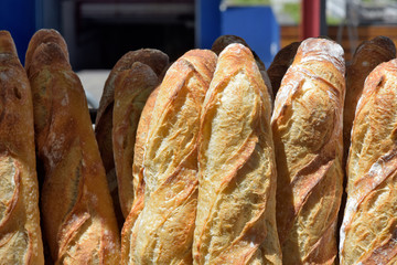 Fresh baguettes in basket