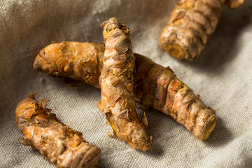 Raw Organic Orange Turmeric Root