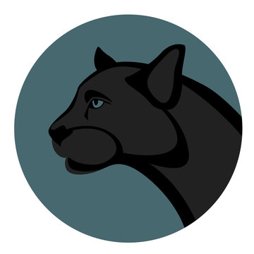  cougar head vector illustration , flat style ,profile