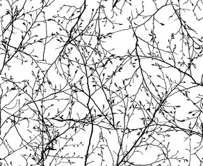 vector seamless texture of the branches on the white background