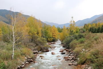 river in the mountains