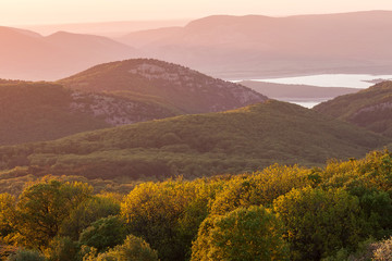 Magic spring background with midges in the Crimean mountains at sunset.