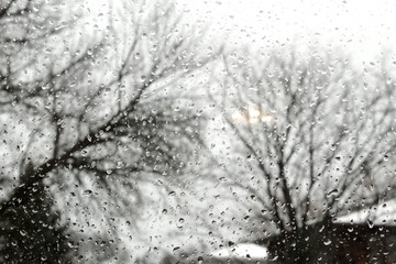 Raindrops on window with bare trees in the background
