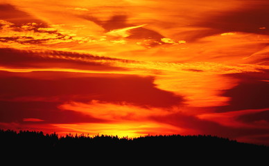 Fototapeta premium The silhouette of the forest with an impressive sunset sky in deep orange and red colors in the Harz mountains, Germany. 