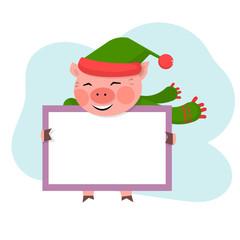 Fototapeta premium Pig hold the board with copy space,