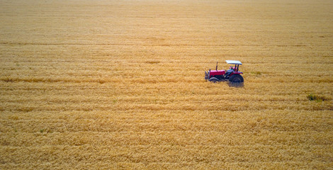 wheat field with tractor aerial