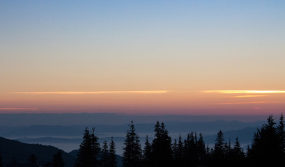 Fototapeta premium Silent morning in Carpathian montains. Forest silhouettes in mountains at dawn. Vasness and peace concept. Mountains and pine trees in morning dust. Sunrise landscape and skyline.