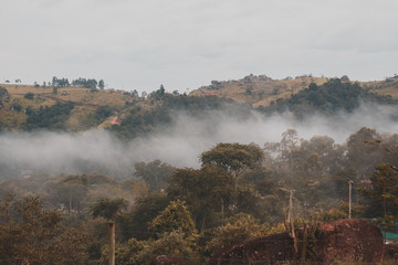 Fototapeta premium Neblina no sitio