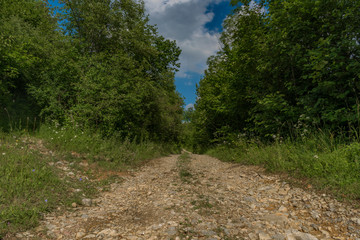 Fototapeta na wymiar Paved road in slope to Slachovky hill in Pieniny national park