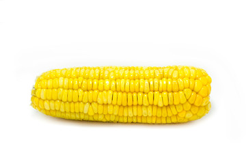 corn isolated on white