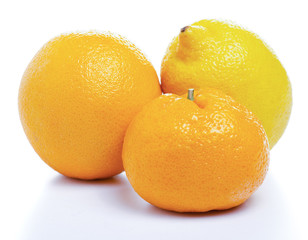 Citrus lemon orange mandarin on a white background isolation