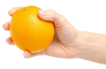 A mandarin in hand on a white background isolation.