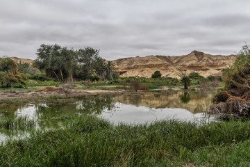Namibe Arch is an oasis in the desert that usually fills every 6 years depending on the rain. Angola. Africa. Namibe