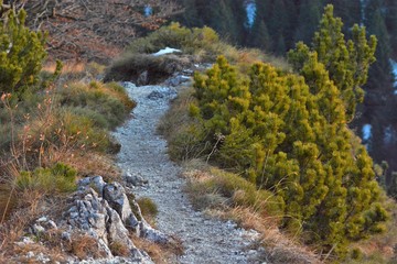 sentiero nelle prealpi di Ledro, Trentino
