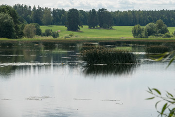 Landscape of lake, forest and meadows