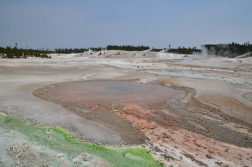 NORRIS GEYSER BASIN YELLOWSTONE NATIONAL PARK (WYOMING) USA