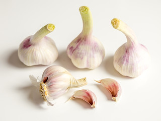 Studio shot of garlic bulbs and cloves on white background