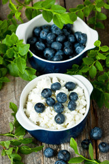 Freshly blueberries and cottage cheese