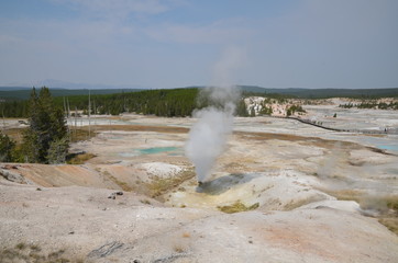 NORRIS GEYSER BASIN YELLOWSTONE NATIONAL PARK (WYOMING) USA