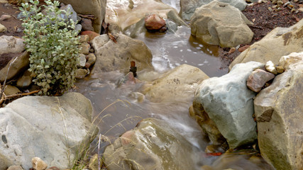 Small waterfall in Ojai 