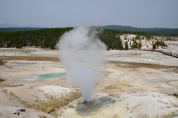 NORRIS GEYSER BASIN YELLOWSTONE NATIONAL PARK (WYOMING) USA